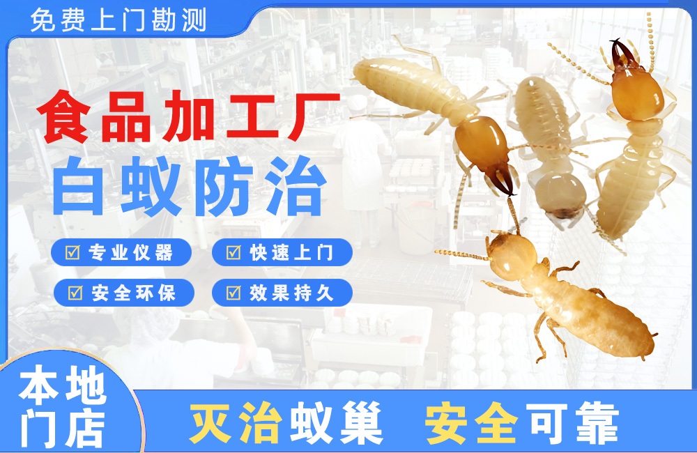 阳春食品加工厂白蚁防治