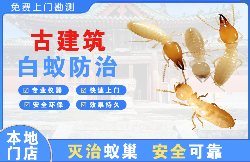 阳春古建筑白蚁防治